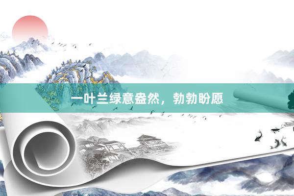 一叶兰绿意盎然，勃勃盼愿