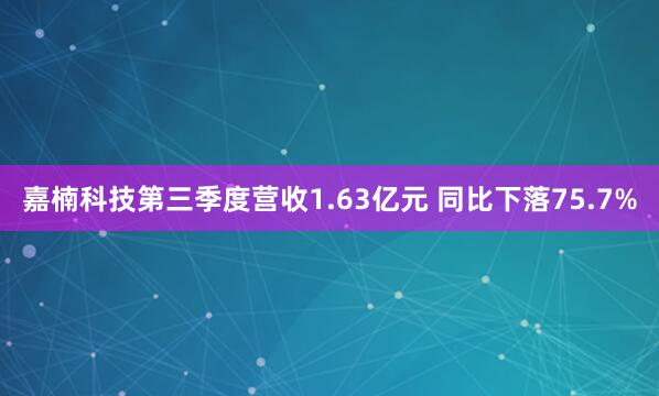 嘉楠科技第三季度营收1.63亿元 同比下落75.7%