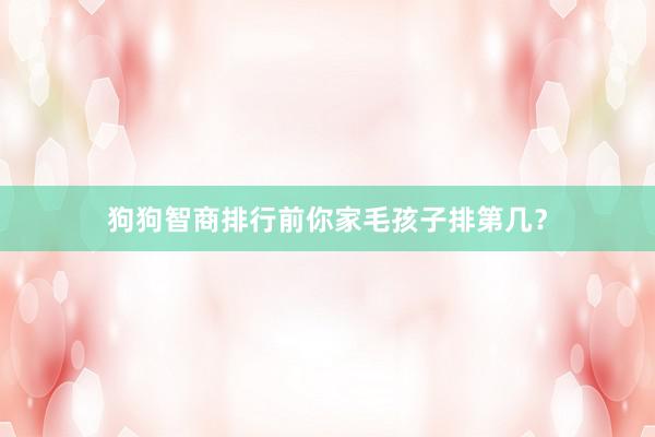 狗狗智商排行前你家毛孩子排第几？